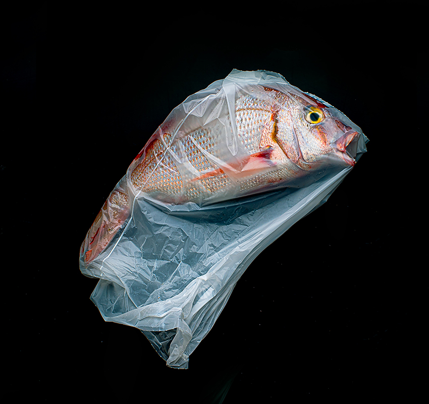 Хорхе Рейнал из Аргентины в своей фотографии выразил весь ужас засорения океана пластиком.