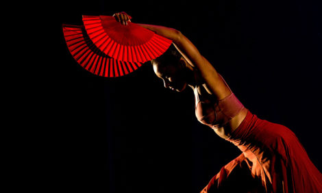 Международный День танца в 2020 году отметят по всему миру онлайн