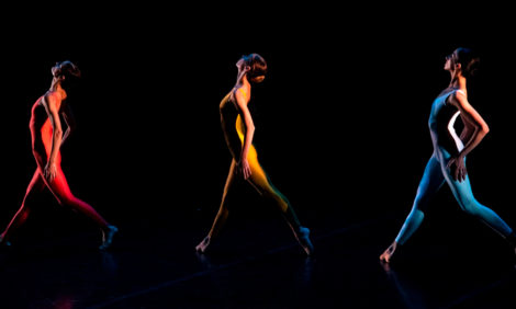 #PostaDance: Нидерландский театр танца покажет балет Short Cut онлайн