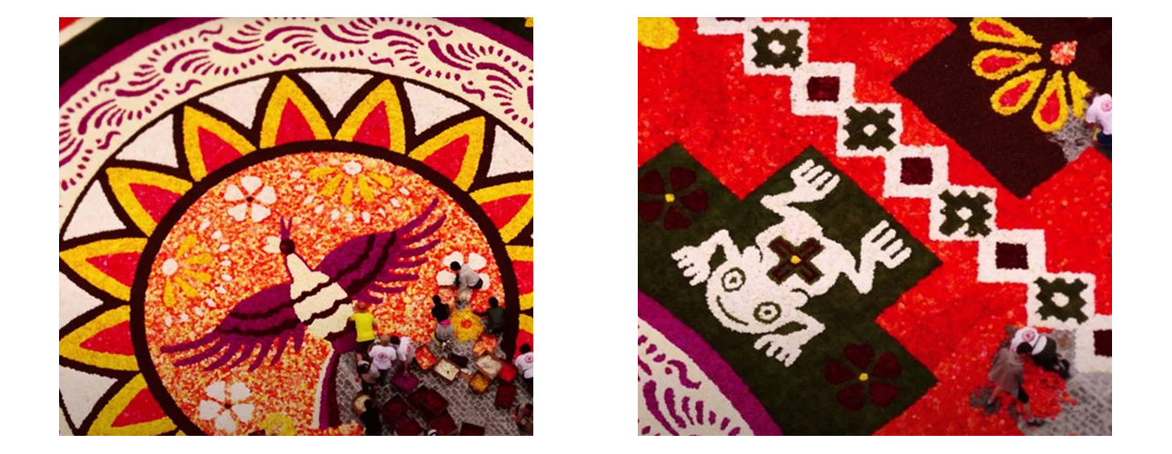 Миллион разноцветных бегоний: как создается брюссельский цветочный ковер, показали на видео