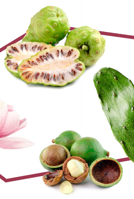Редкие ягоды и растения в косметике: каму-каму, бабассу и другие