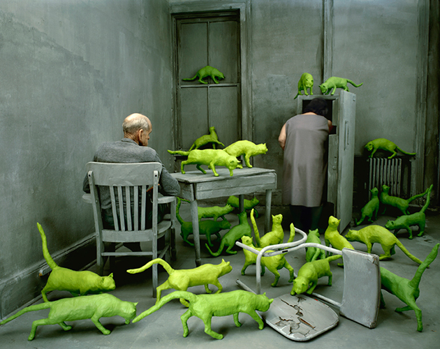 Радиоактивные кошки. 1980