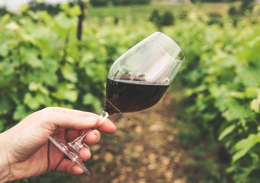 The World’s Best Vineyards 2021: российские винодельни — впервые в престижном списке