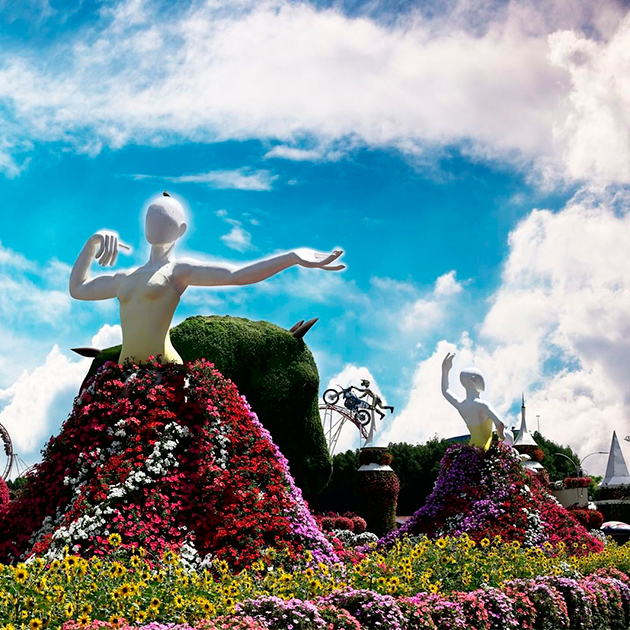 Цветочный парк Dubai Miracle Garden вновь откроется в октябре