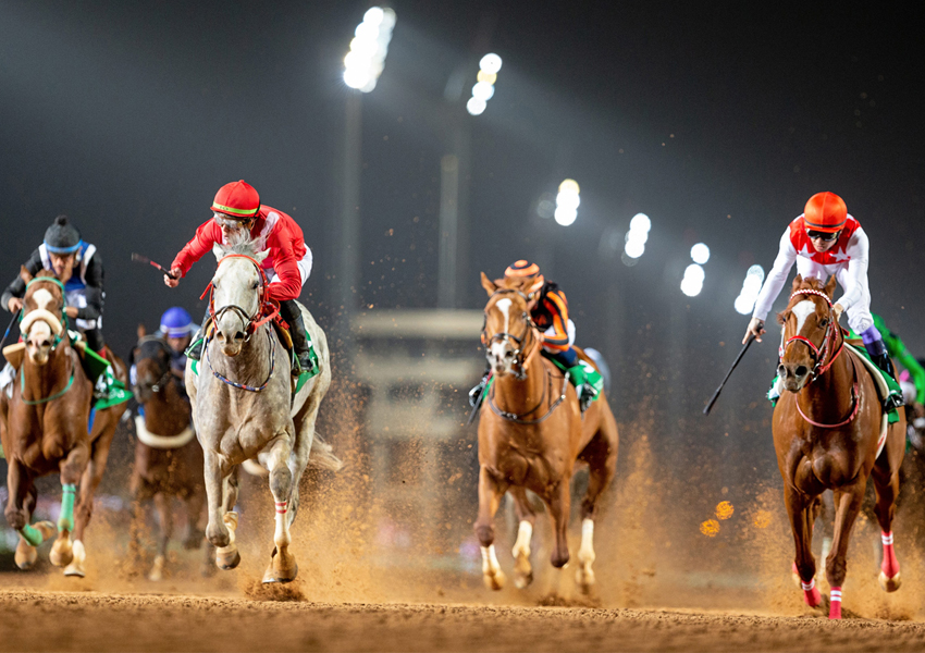 Кубок Саудовской Аравии по конным скачкам с призовым фондом более 35 миллионов долларов