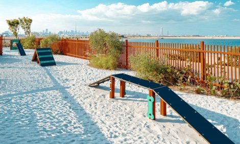 Dubai Guide: открытие первого в&nbsp;городе пляжа для собак