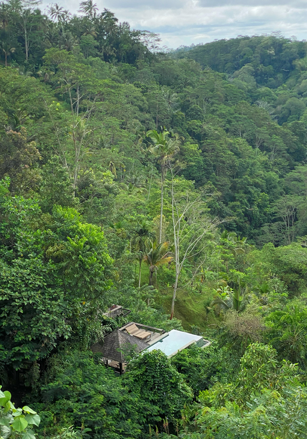 Buahan, A Banyan Tree Escape