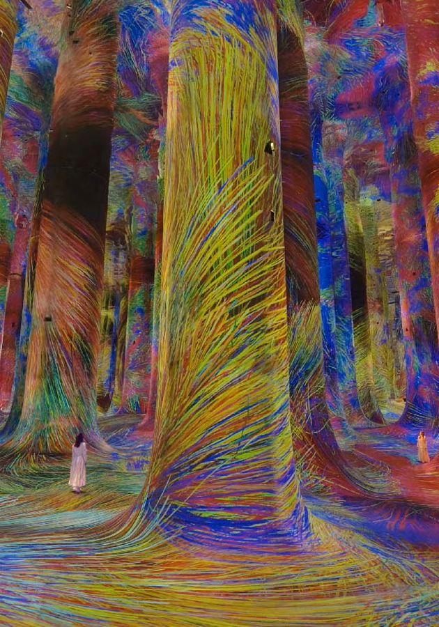 teamLab Phenomena Abu Dhabi