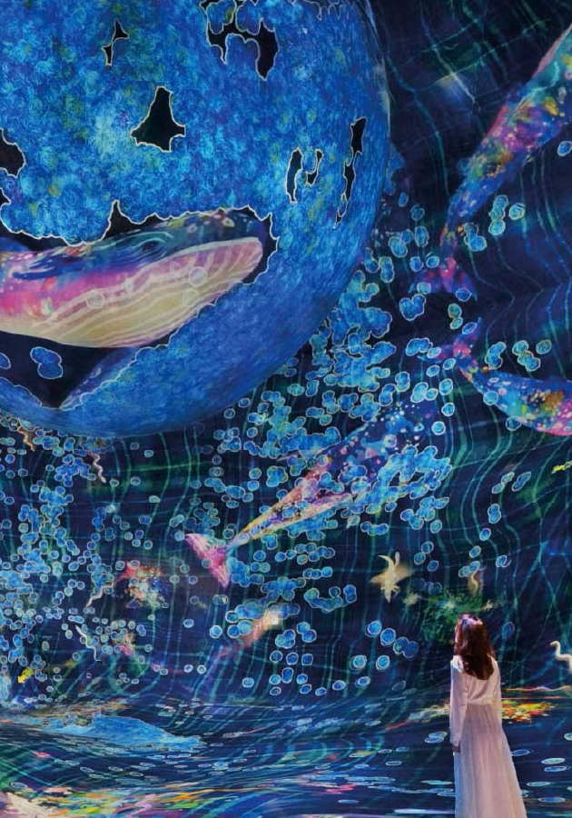 teamLab Phenomena Abu Dhabi